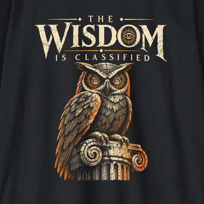 A close-up of a black shirt featuring a graphic print with the text 'THE WISDOM IS CLASSIFIED' and a detailed owl perched on a column.
